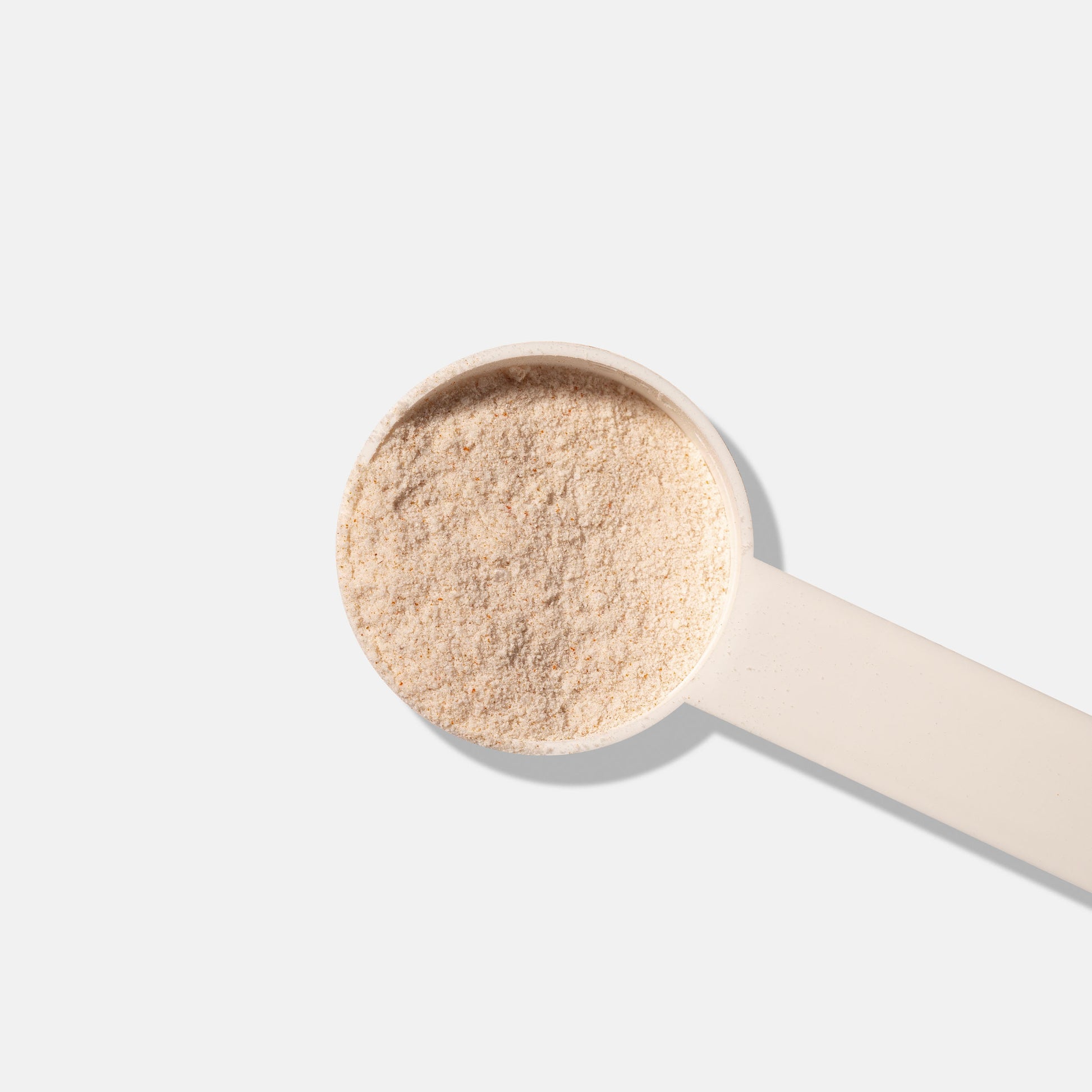 Добавки за отслабване, Хранителни добавки, L-Карнитин, Метаболизъм